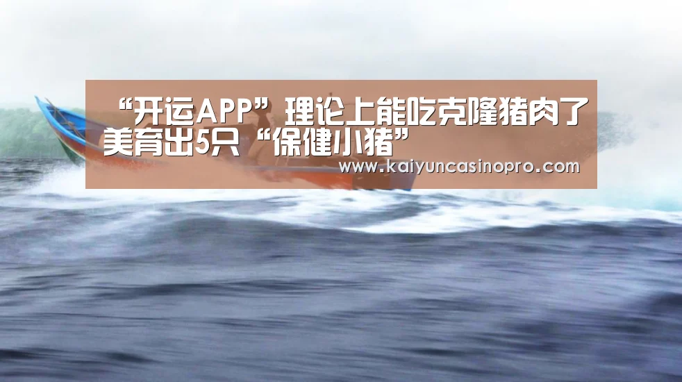 开运登录