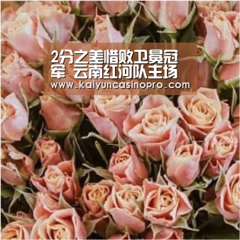 2分之差惜败卫冕冠军 云南红河队主场打虎失手(第十轮):开运娱乐(图2) 开运登录