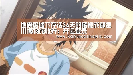 开运登录