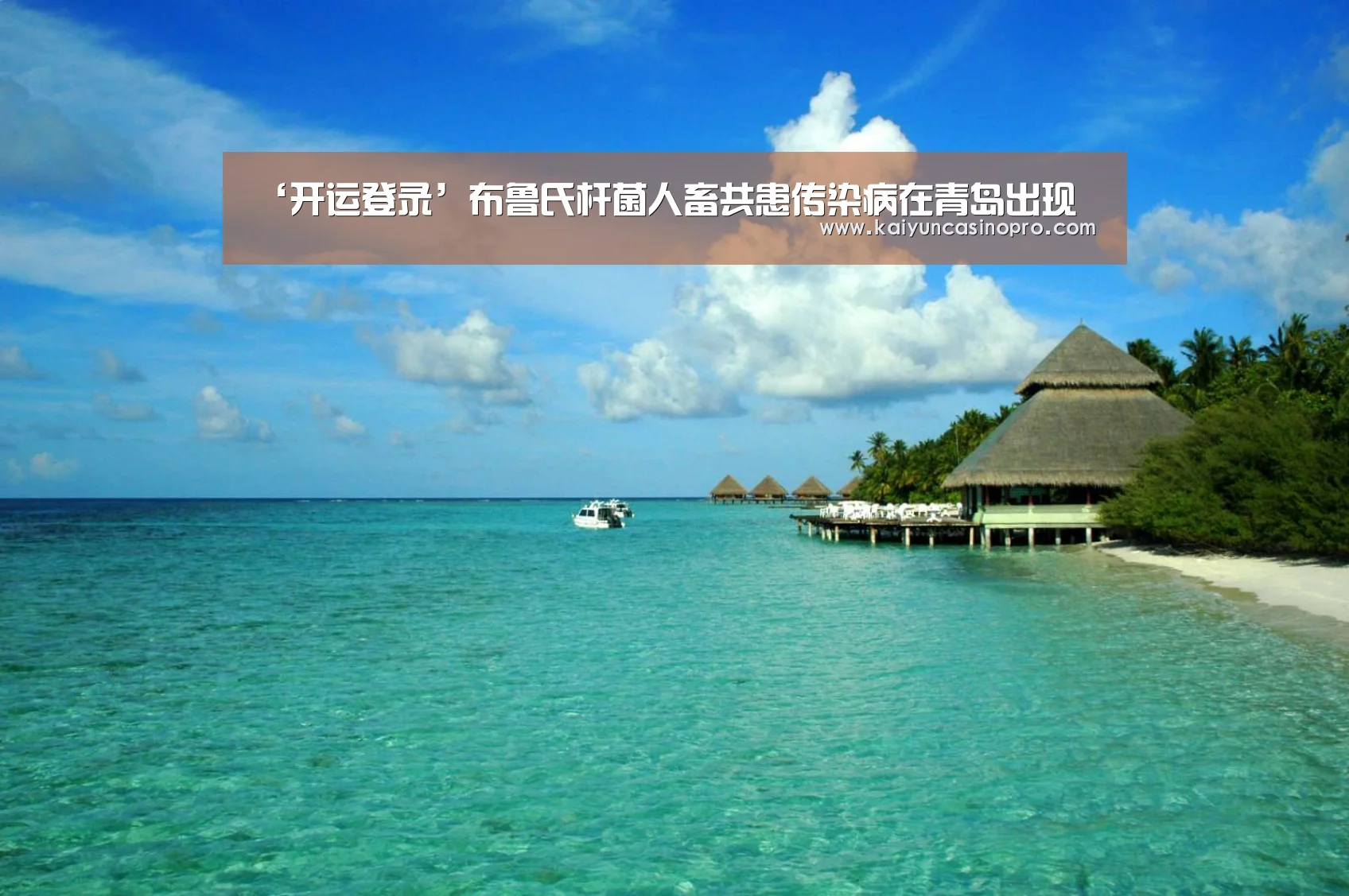 开运娱乐