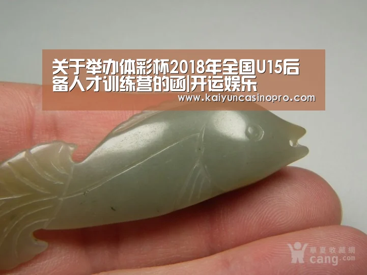 关于举办体彩杯2018年全国U15后备人才训练营的函|开运娱乐(图3) 开运APP